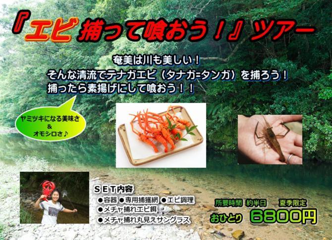 Amami Guest House Showa-So Setouchi (Kagoshima) Exterior foto