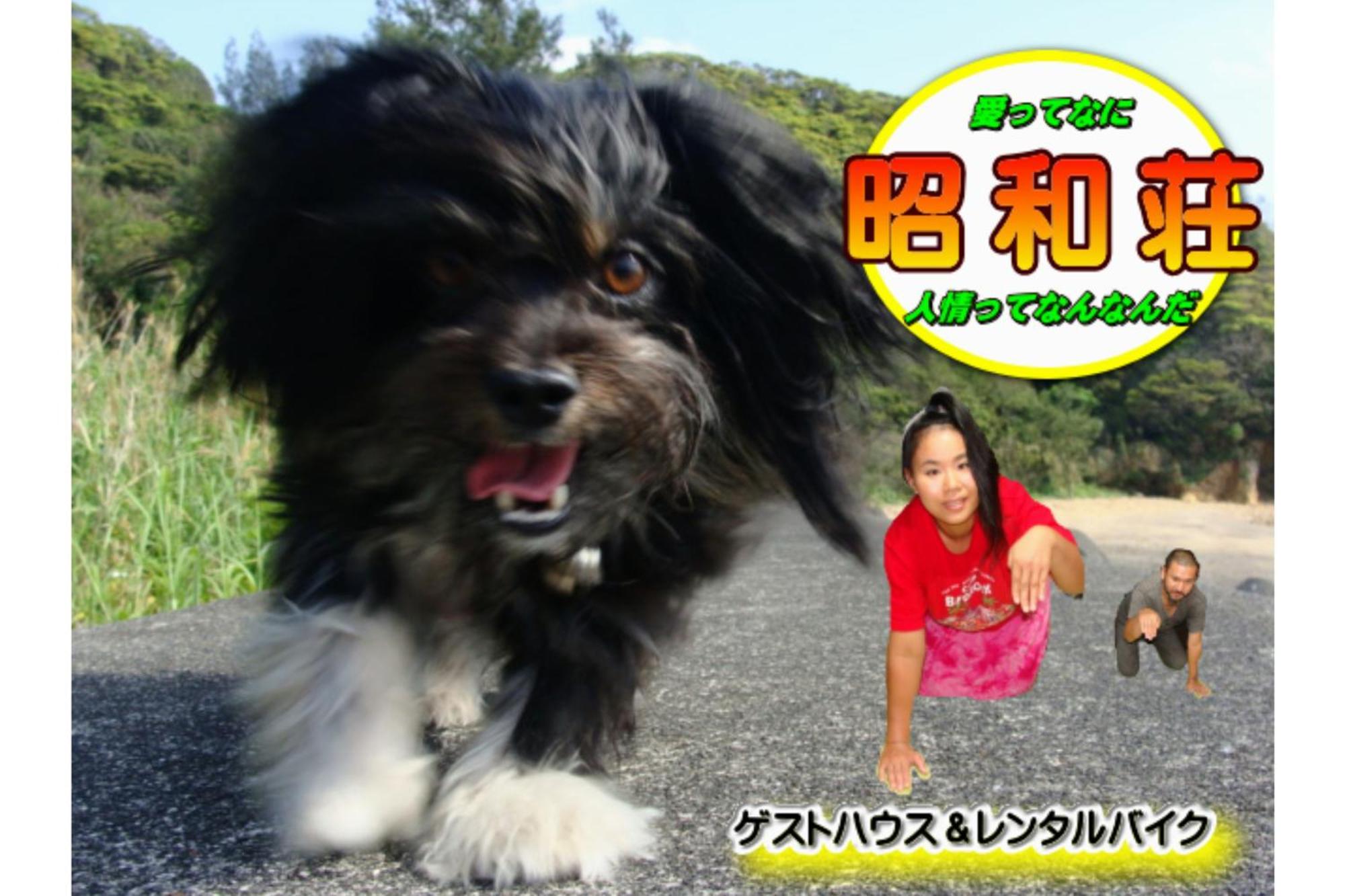 Amami Guest House Showa-So Setouchi (Kagoshima) Exterior foto